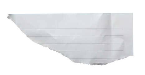 Torn lined notebook paper sheet