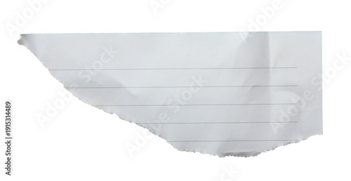 Torn lined notebook paper sheet