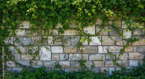 Wall made of stone with spr...