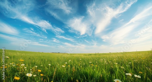 panoramic landscape with co...