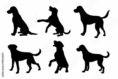 Silhouettes of various dog breeds in different poses