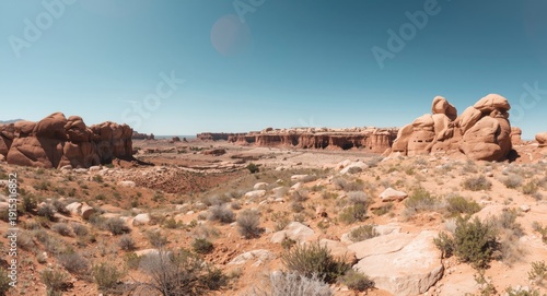Natural desert panorama wit...