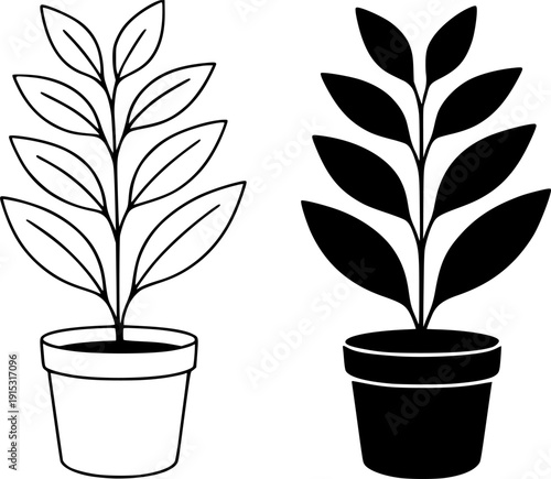 Plant icon, vector illustration of beautiful potted plant, black and white in outline and silhouette design style