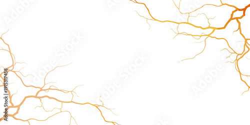 Abstract orange lines branching across a stark white background