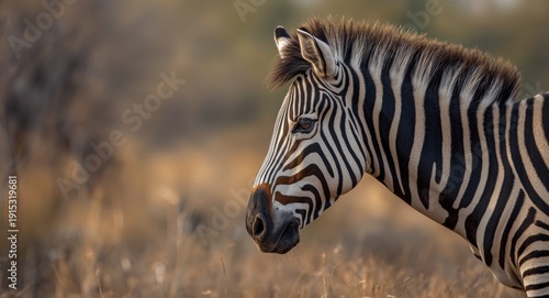 Detailed profile shot of a ...