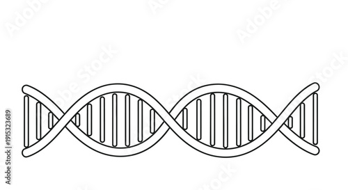 Simple black and white illustration of a deoxyribonucleic acid double helix structure