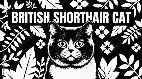 british shorthair cat breed domestic feline pet animal portrait with dense fur round face expressive eyes detailed realistic illustration black and white vector isolated