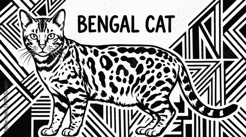 bengal cat breed domestic feline pet animal portrait with spotted fur muscular body sharp eyes detailed realistic illustration