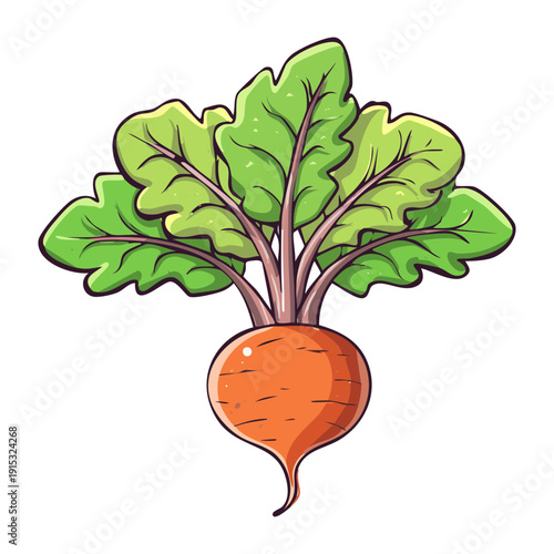 Vibrant purple beetroot with green stems for healthy lifestyle and organic plant based nutrition theme - Vector Illustration