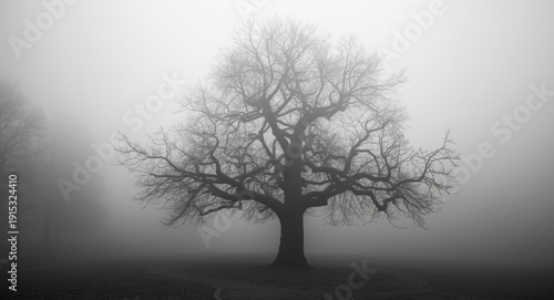 Black and white depiction o...