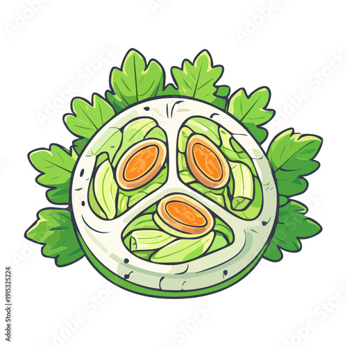 Sliced cabbage with fresh green leaves for healthy organic salad and nutritious vegetable meal preparation - Vector Illustration