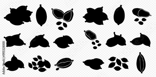 Cardamom pods and seeds in silhouette, a collection of spice elements for culinary and aromatic uses.