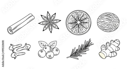 A detailed illustration of various herbs, spices, and plants Vector