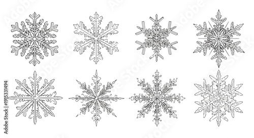 Intricate snowflakes showcasing unique patterns and symmetrical designs Vector