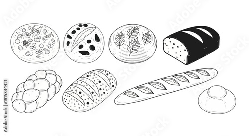Assorted breads and baked goods displayed in a variety of shapes and sizes Vector