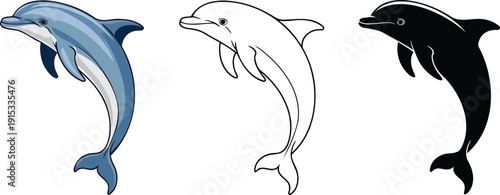 Dolphin silhouette & Outline and illustration set isolated on transparent background
