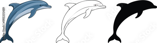 Dolphin silhouette & Outline and illustration set isolated on transparent background