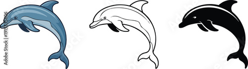 Dolphin silhouette & Outline and illustration set isolated on transparent background