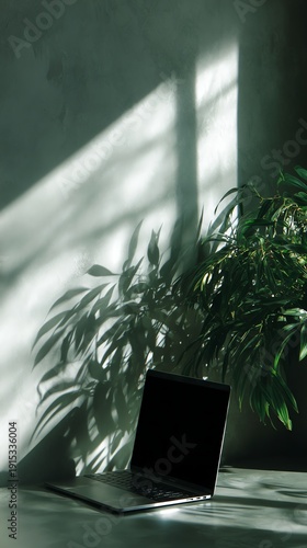 Aesthetic home office background featuring a laptop with the intriguing shadows of green plants on the wall, creating a serene workspace.