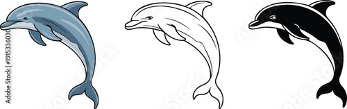 Dolphin silhouette & Outline and illustration set isolated on transparent background