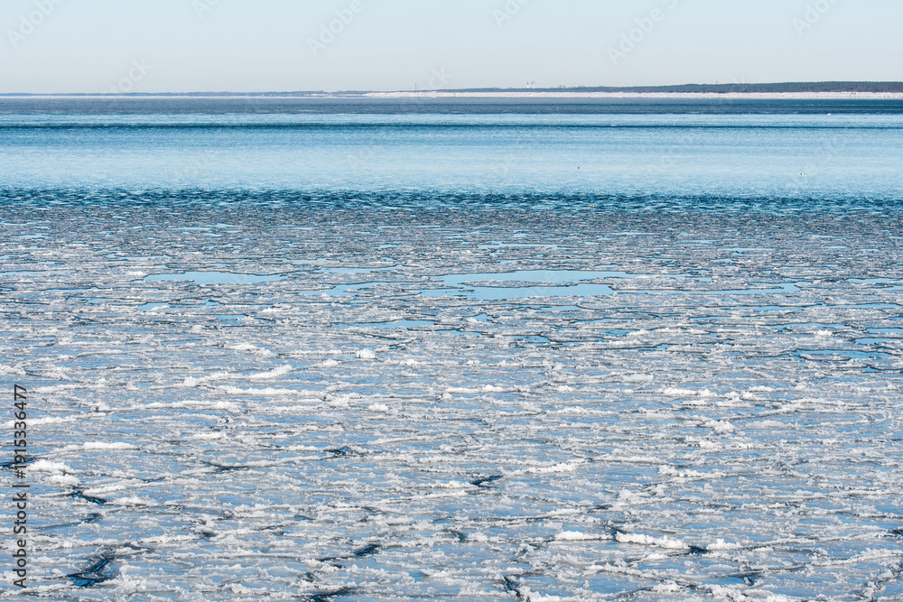 Obraz premium Calm winter sea dotted with floating ice floes under a pale sky