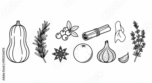 Assorted vegetables and herbs illustrated in a minimalist style Vector