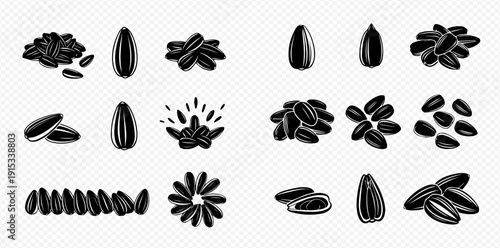 Set of black sunflower seeds isolated on transparent background, detailed vector illustrations for food and snack designs.