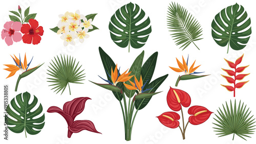 Extensive collection of tropical flowers like hibiscus and bird of paradise along with various exotic green and purple leaves.