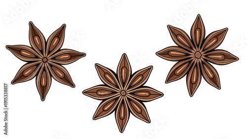Three whole star anise seeds isolated on a white background, perfect for spice, cooking, food, and herbal medicine related illustrations.