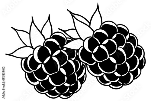 A black and white vector illustration of two blackberries with leaves on a plain background