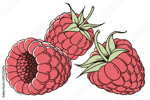 A vector illustration of three vibrant red raspberries with green leaves on a white background
