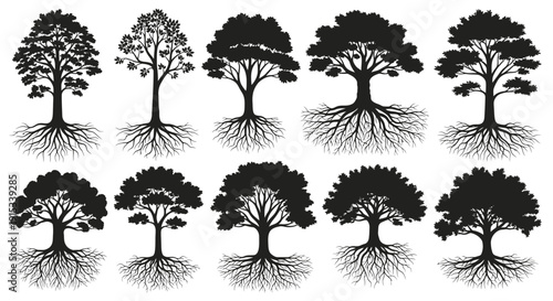 Diverse Silhouetted Trees with Intricate Root Systems Displayed Against a White Background