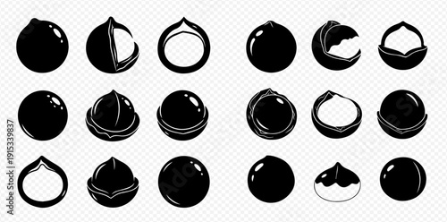 Macadamia Nut Silhouettes: A Collection of Whole, Cracked, and Shelled Macadamia Nuts in Various Forms.
