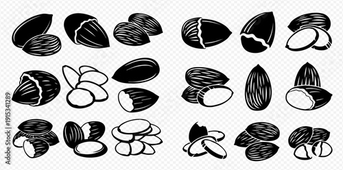 Almond nuts vector set, whole, shelled, and sliced almonds in black and white illustration.
