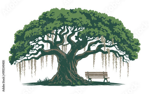 Old Oak Tree Illustration majestic Spanish moss tree with bench, peaceful park setting vector