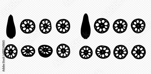 Black silhouette of whole and sliced lotus roots, a traditional Asian vegetable, on a transparent background.