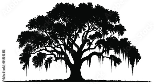 Live Oak Tree Silhouette southern oak tree vector with hanging Spanish moss, isolated on white, nature illustration, landscape design, botanical artwork elements
