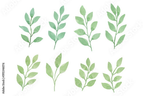 Assortment of watercolor leaves illustration set - green leaf branches collection for wedding, greetings, stationary, wallpapers, fashion, background. olive, green leaves, Eucalyptus etc