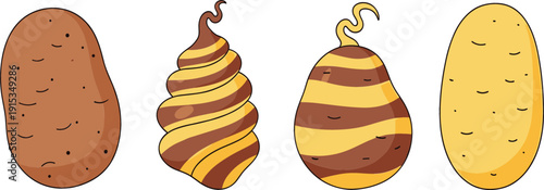 Collection of various potato tubers and root vegetables including russet and striped yam varieties for organic farming cooking and agricultural design vector.