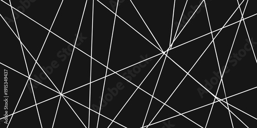 A network of intersecting white lines against a solid black background