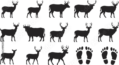 Silhouette Collection Of Deer And Footprints On White Background stag buck