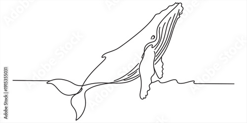 Continuous line drawing of a humpback whale jumping out of the ocean water surface. Vector, illustration