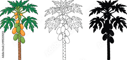 Papaya tree silhouette & Outline and illustration set isolated on transparent background