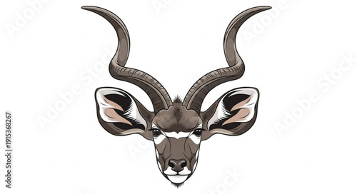 Majestic Kudu Antelope Head with Impressive Spiral Horns.