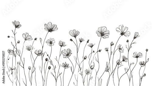 Black and White Sketch of Wildflowers.
