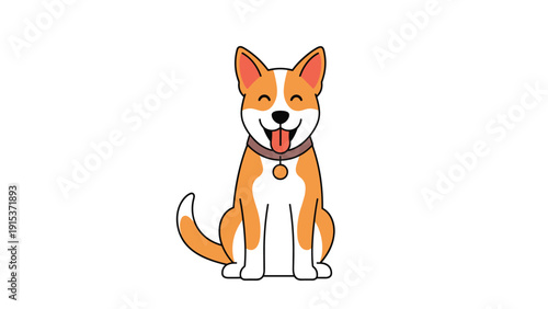 Happy smiling dog with orange and white fur sitting upright and wearing a brown collar with a gold tag on a white background.