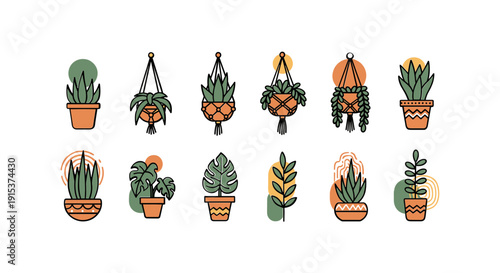 Collection of various potted succulents plants 1.