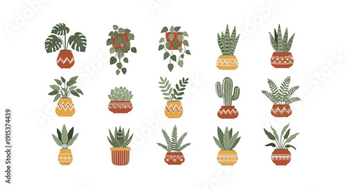 Collection of Various Potted Houseplants.