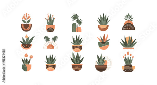 Collection of various potted succulents plants.
