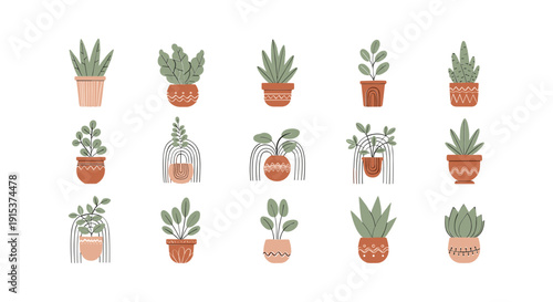 Collection of Various Small Potted Plants.